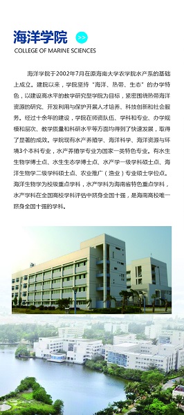 电玩捕鱼